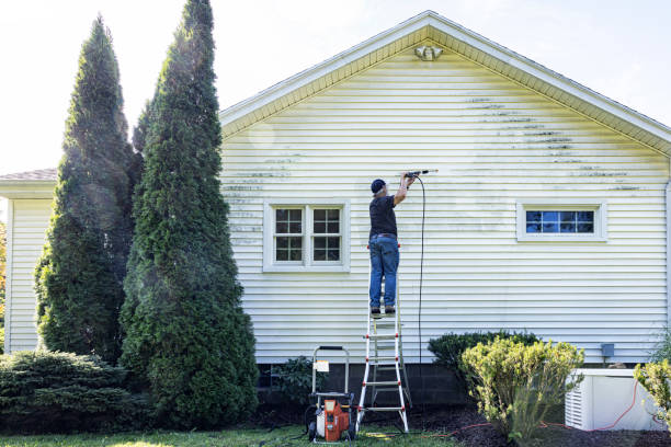 Best Spring Cleaning  in June Park, FL